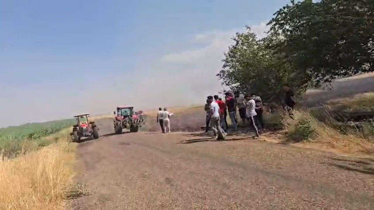 Besni'de anız yangını 200 dönümlük alana sıçradı, ekili arazide zarar oluştu