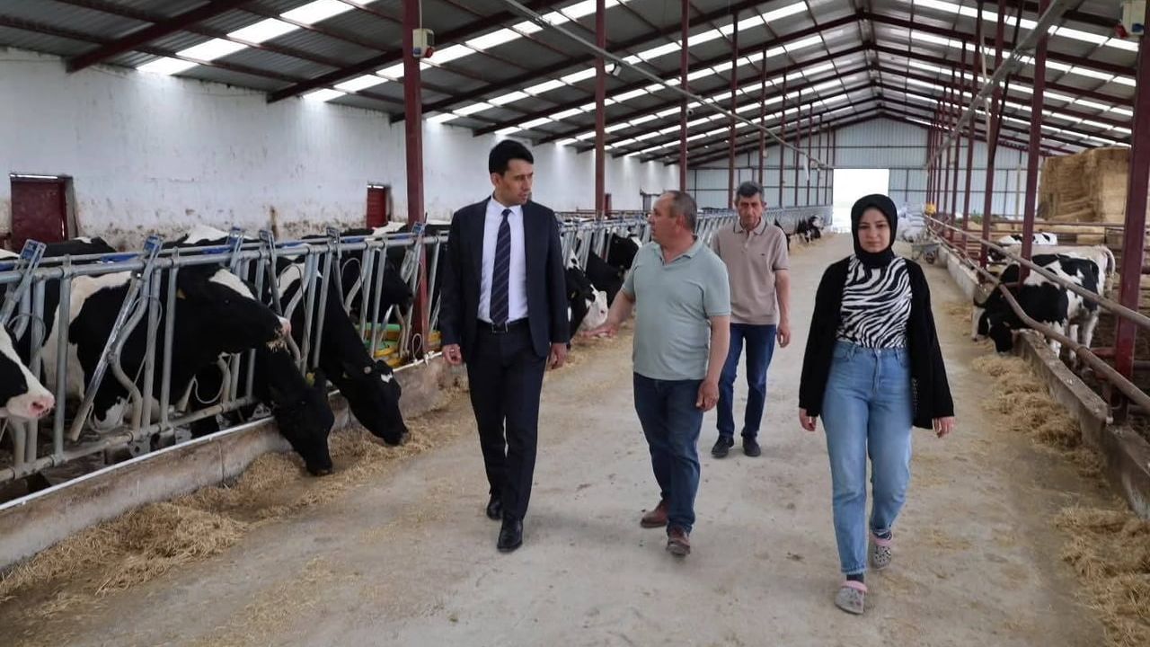 Beylikova Kaymakamı Ali Kantilav, HAYKOOP Çiftliği'nde Hayvancılık Faaliyetlerini İnceledi