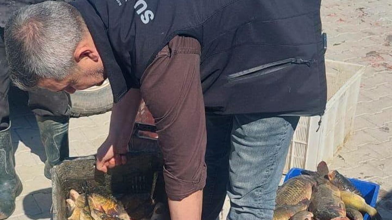 Beyşehir’de avcılara yakın takip