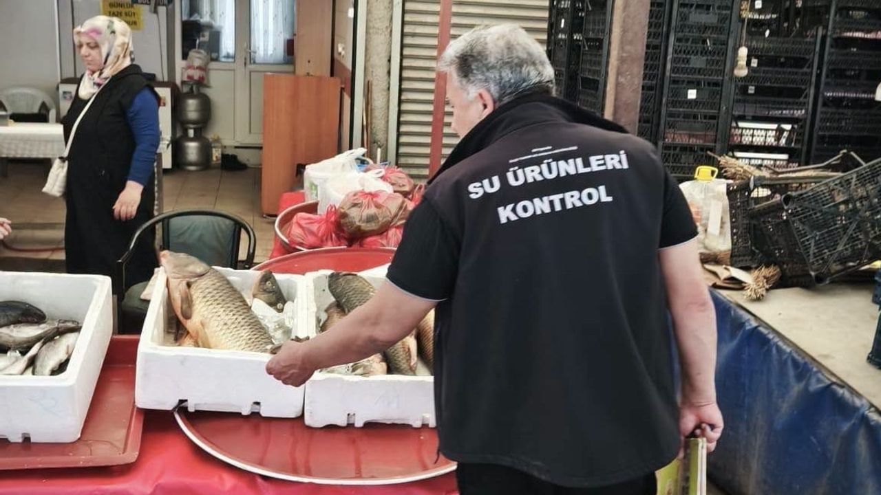 Beyşehir Gölü'nde sürdürülebilir avcılık için kapsamlı denetimler