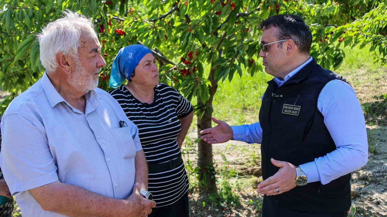 Bilecik'te 27 bin dekarda yıllık yaklaşık 15 bin 500 ton kiraz üretimi devam ediyor