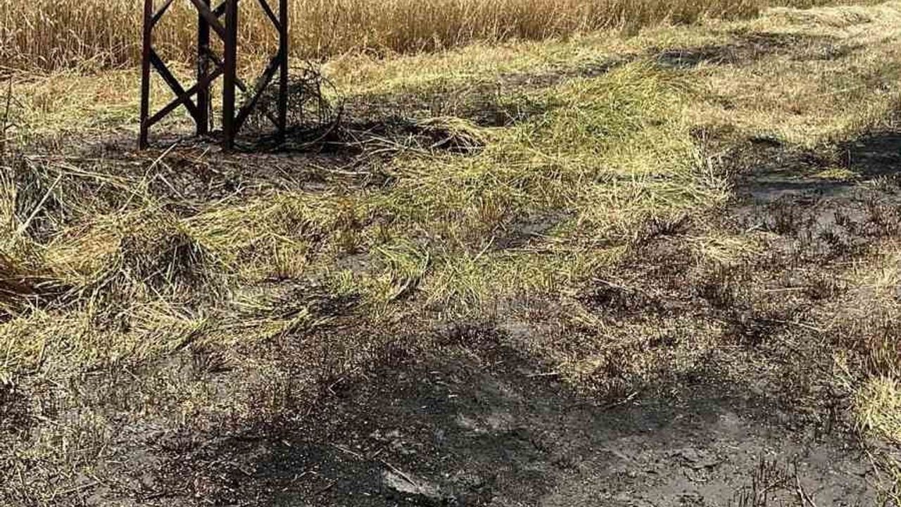 Bilecik'te anız yangını zamanında müdahale ile söndürüldü