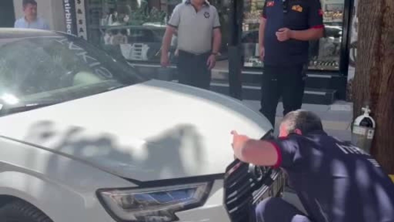 Bilecik'te motor bölümüne giren yavru kedi itfaiyecilere zor anlar yaşattı