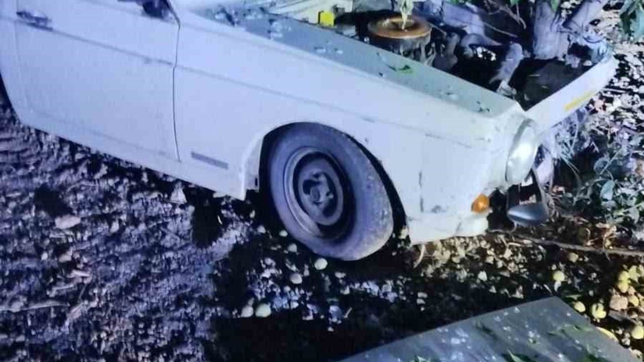 Bilecik’te otomobil ağaca çarptı: 2 yaralı