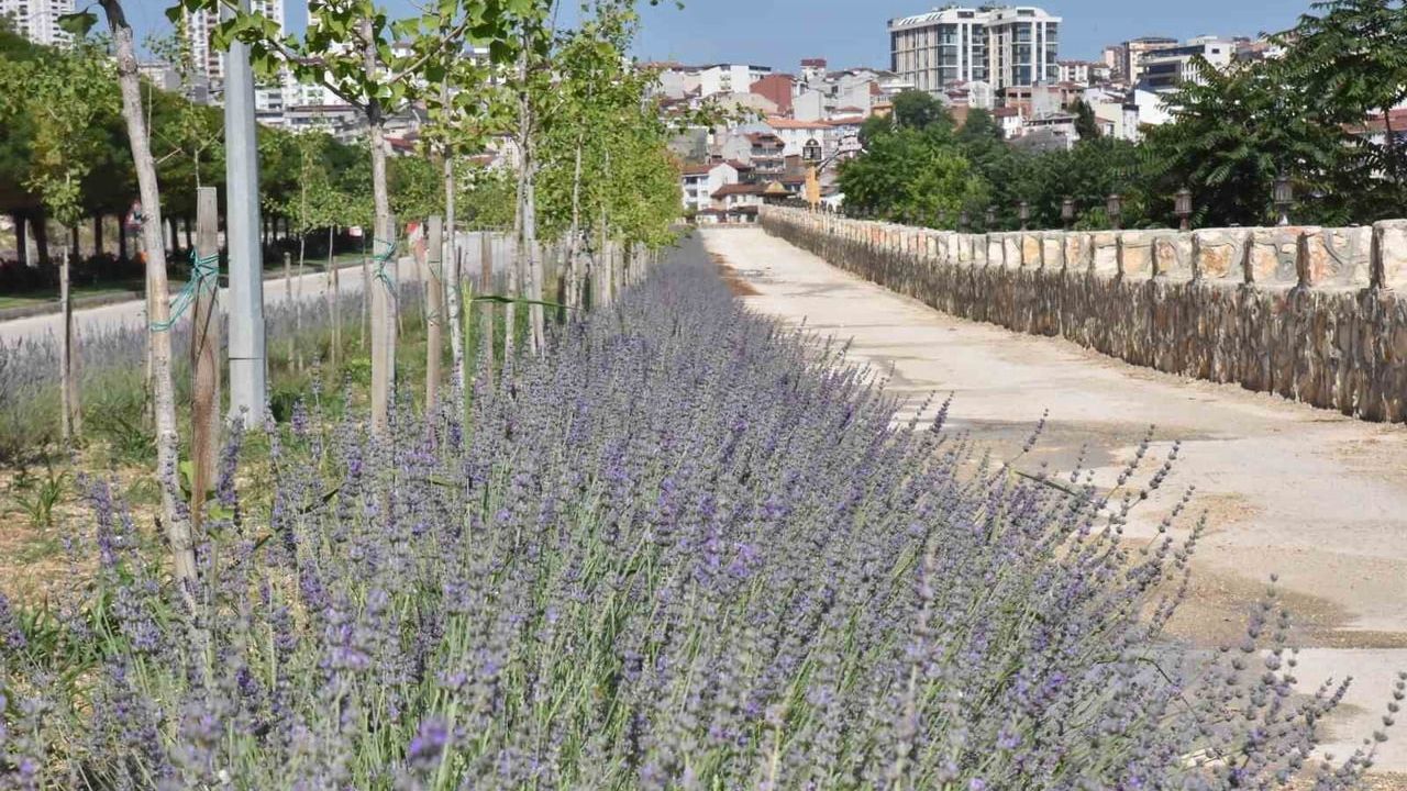 Bilecik ve İstanbul projeleri Guangzhou ödülünün kısa listesine girdi