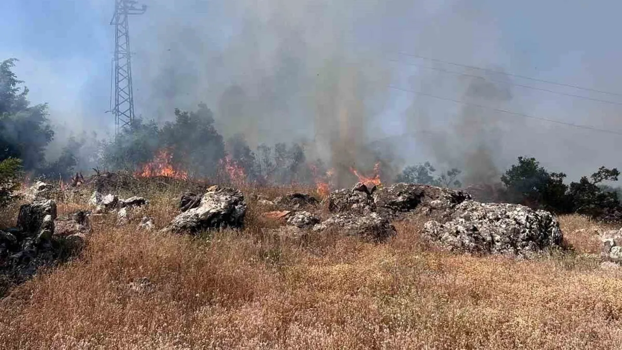 Bingöl'de Gerçekli köyünde orman yangını kontrol altına alındı
