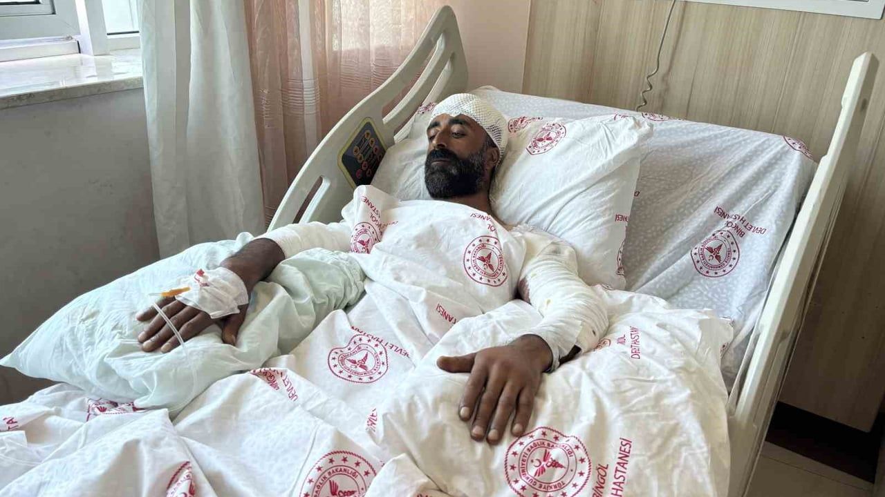 Bingöl'de mantar toplarken ayı saldırısına uğradı; kollarıyla başını siper ederek kurtuldu