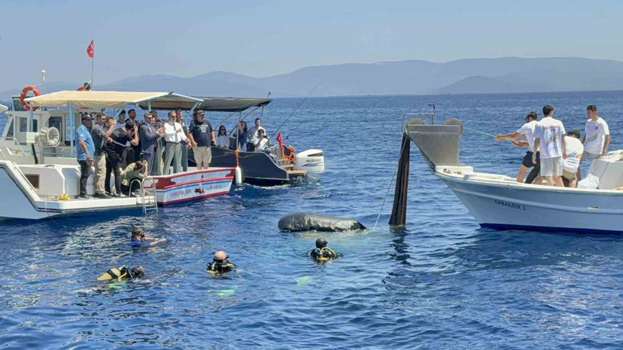 Bodrum'da 2 bin metrekare hayalet ağ temizlendi; 25 bin yavru levrek denize bırakıldı