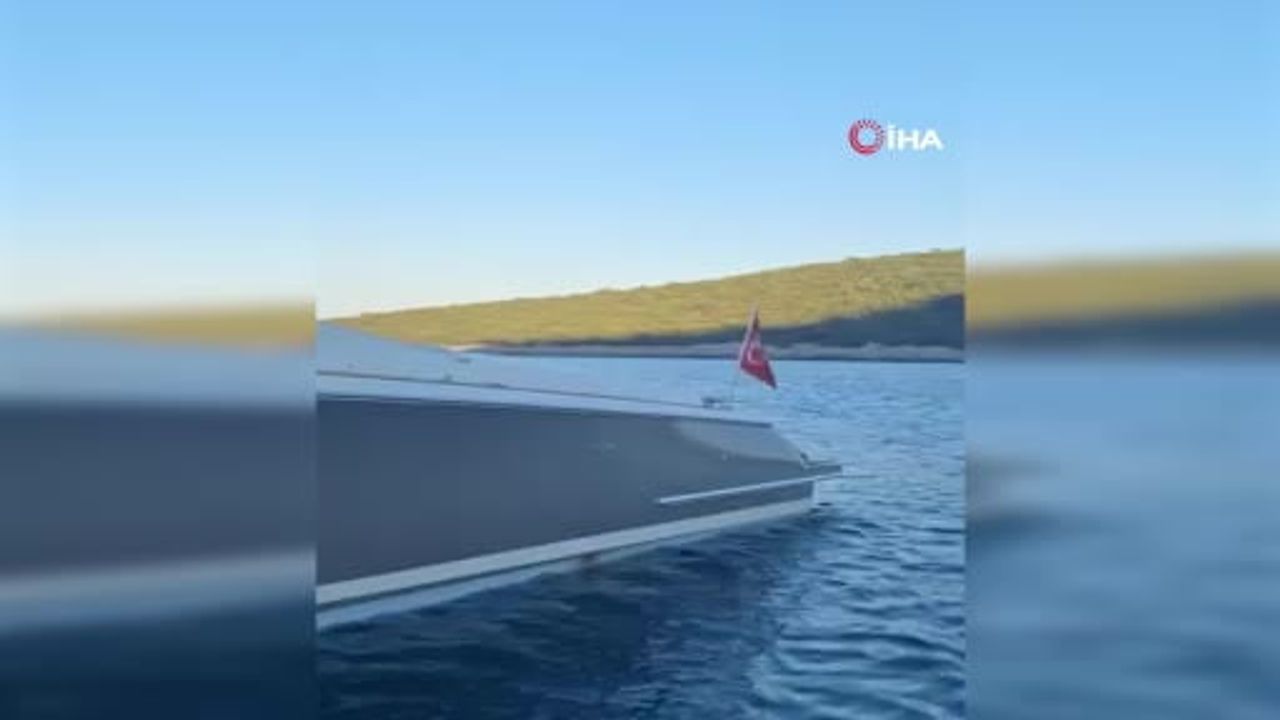 Bodrum'da Akdeniz Foku Motoryata Çıktı: Türkbükü Hebil Koyu'nda Dinlendi