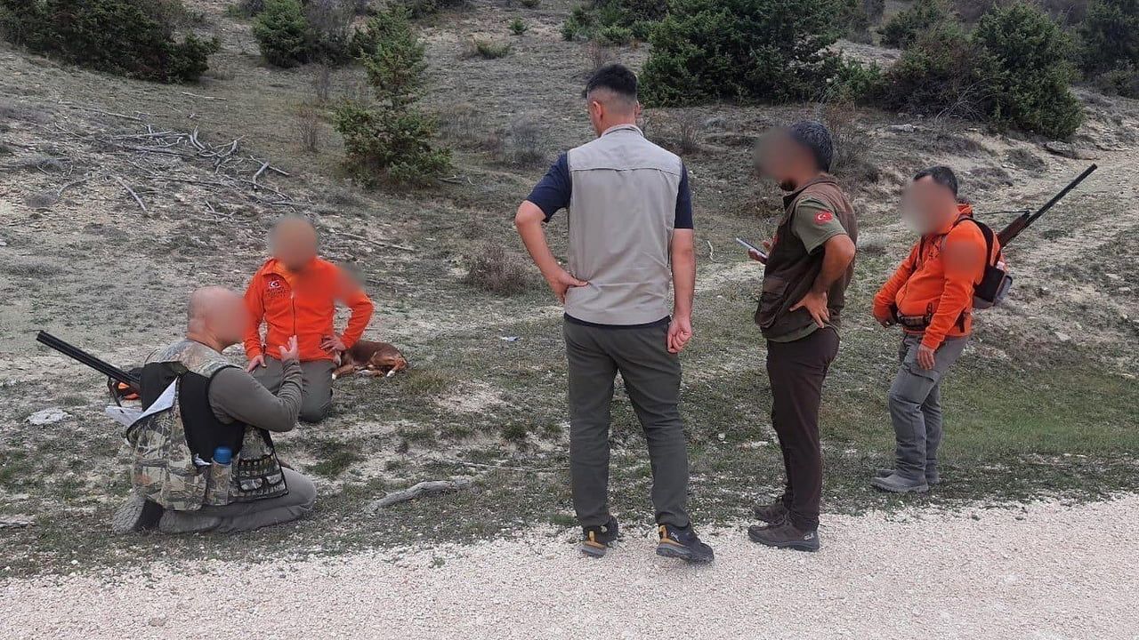 Bolu'da 2026-2027 Av Dönemi: Çilkeklik, Öter Ardıç ve Kum Kekliği'nin Avı Yasaklandı