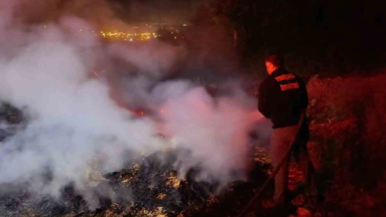 Bolu'da anız yangını ormanlık alana sıçramadan söndürüldü