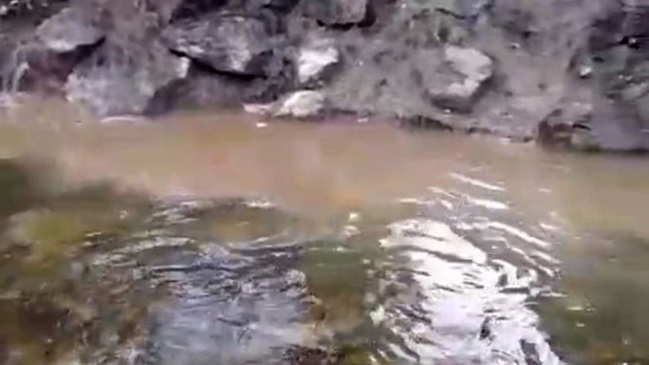 Bolu'da Büyüksu Deresi'ne kanalizasyon suyu karıştığı iddiası