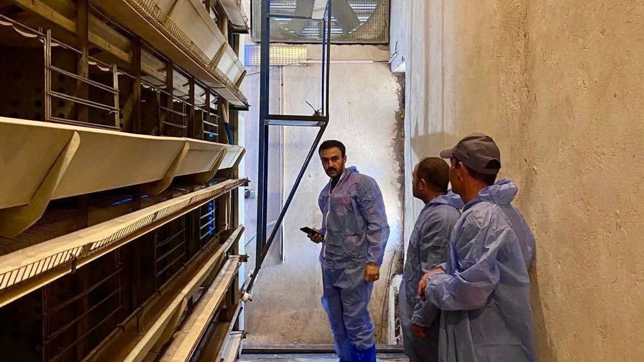 Bolvadin'de kanatlı işletmelerinde biyogüvenlik denetimi
