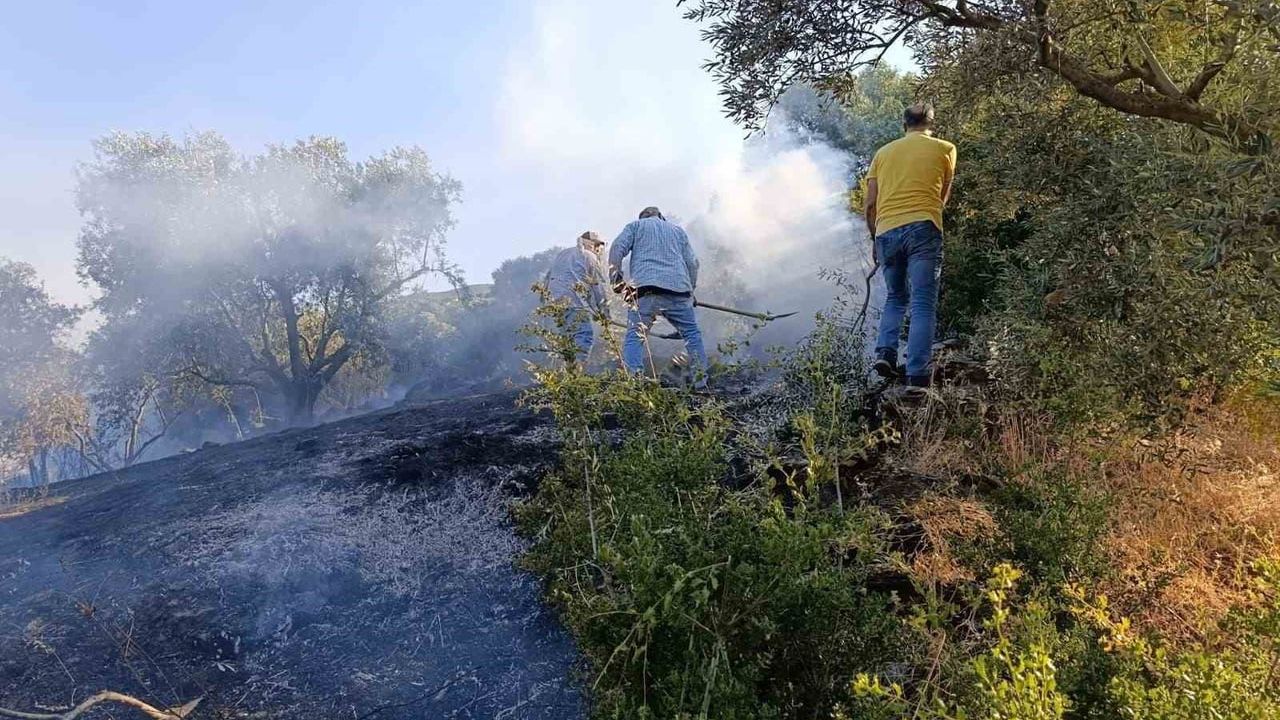 Bozdoğan’da Alamut’ta arazi yangını kontrol altına alındı