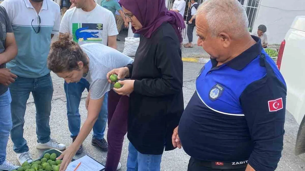 Bozdoğan’da hastalıklı ilekler imha edildi