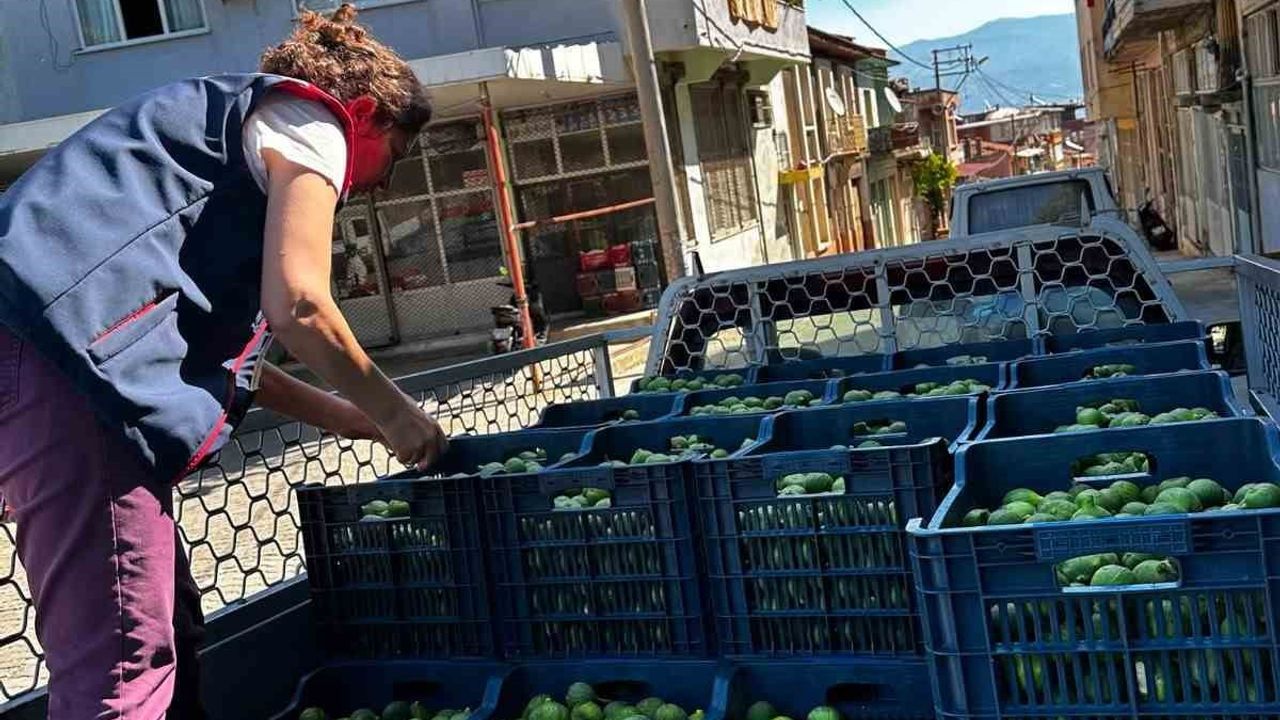 Bozdoğan’da ilek denetimleri aralıksız sürüyor