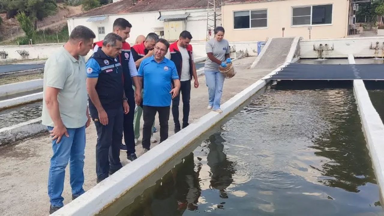 Bozdoğan’da su ürünleri üretimi 3 bin 696 tona ulaştı