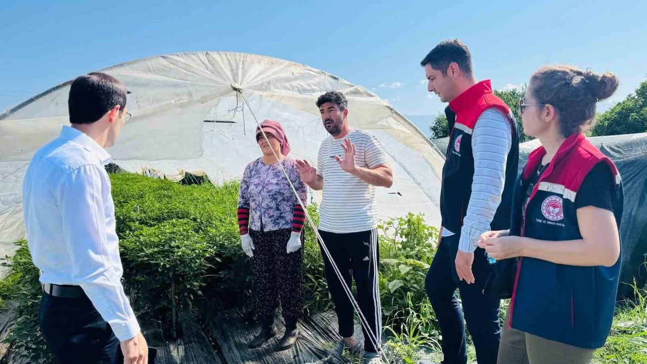 Bozdoğan’da tarımsal üretim sahada değerlendirildi