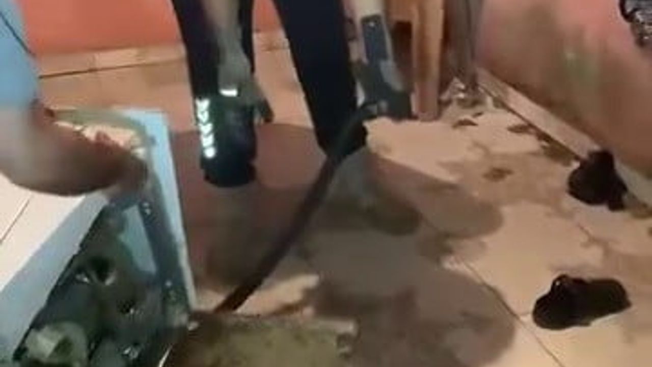 Bulaşık makinesine giren 2 metrelik karayılan itfaiye ekiplerince çıkarıldı