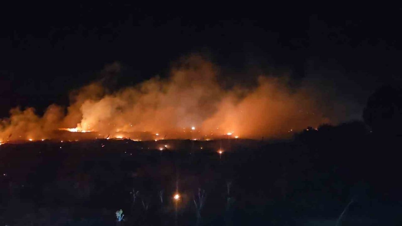 Burhaniye’de örtü yangını zeytinlikleri ve ormanlık alanları tehdit etti