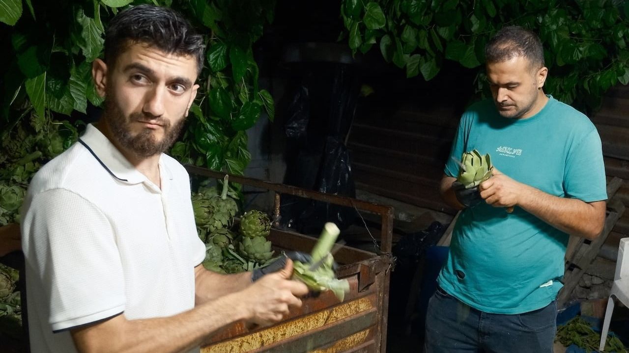 Bursa’da enginar soyucuları: Hasanağa enginarı mutfağa 10 saniyede hazırlanıyor
