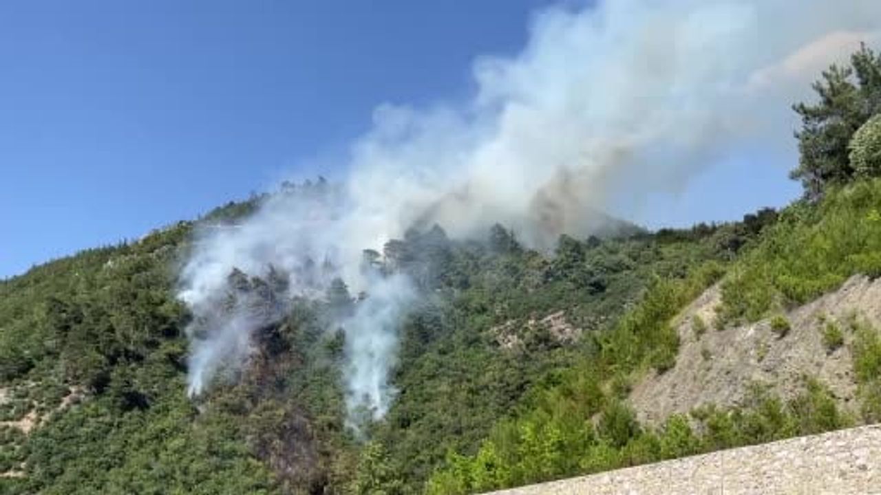 Bursa’da Gökçeören’de tarım yangını ormana sıçradı, villalara doğru ilerliyor