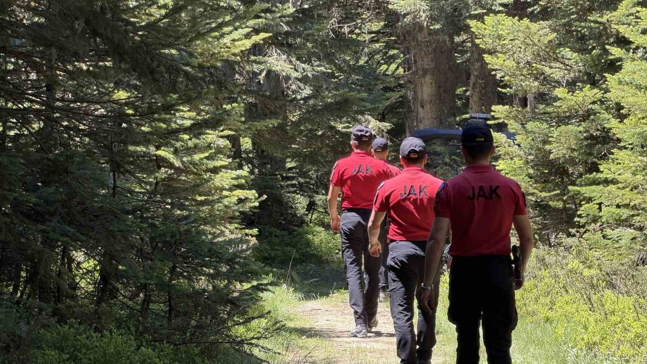 Bursa'da ormanlara girişler 20 haziran-15 ekim arasında yasaklandı