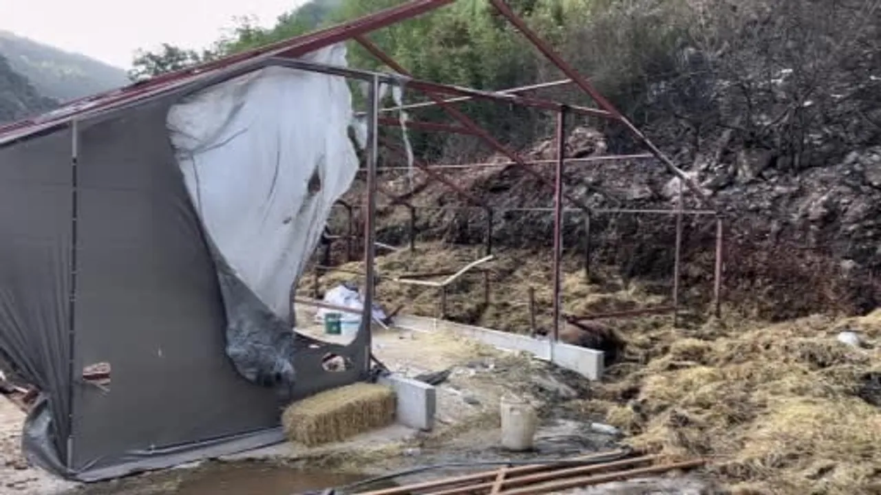 Bursa'daki orman yangınında 1 kişi gözaltına alındı