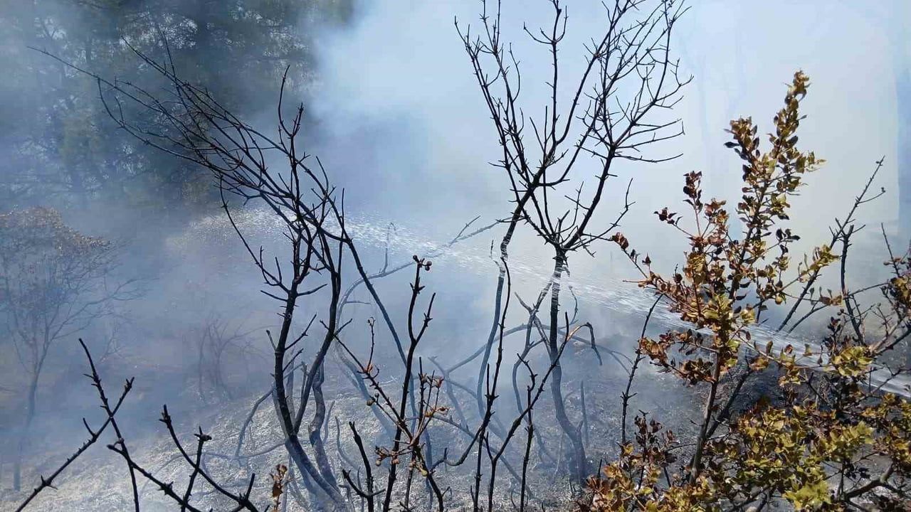Bursa Gemlik’te piknik alanı yakınında çıkan yangın ekiplerin müdahalesiyle söndürüldü