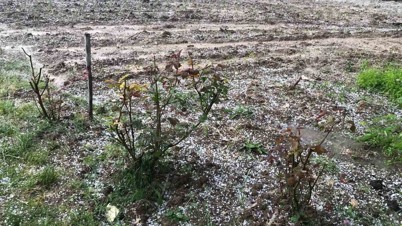 Bursa Keles'te Ani Dolu: Gököz Mahallesi’nde Tarım Arazileri Zarar Gördü