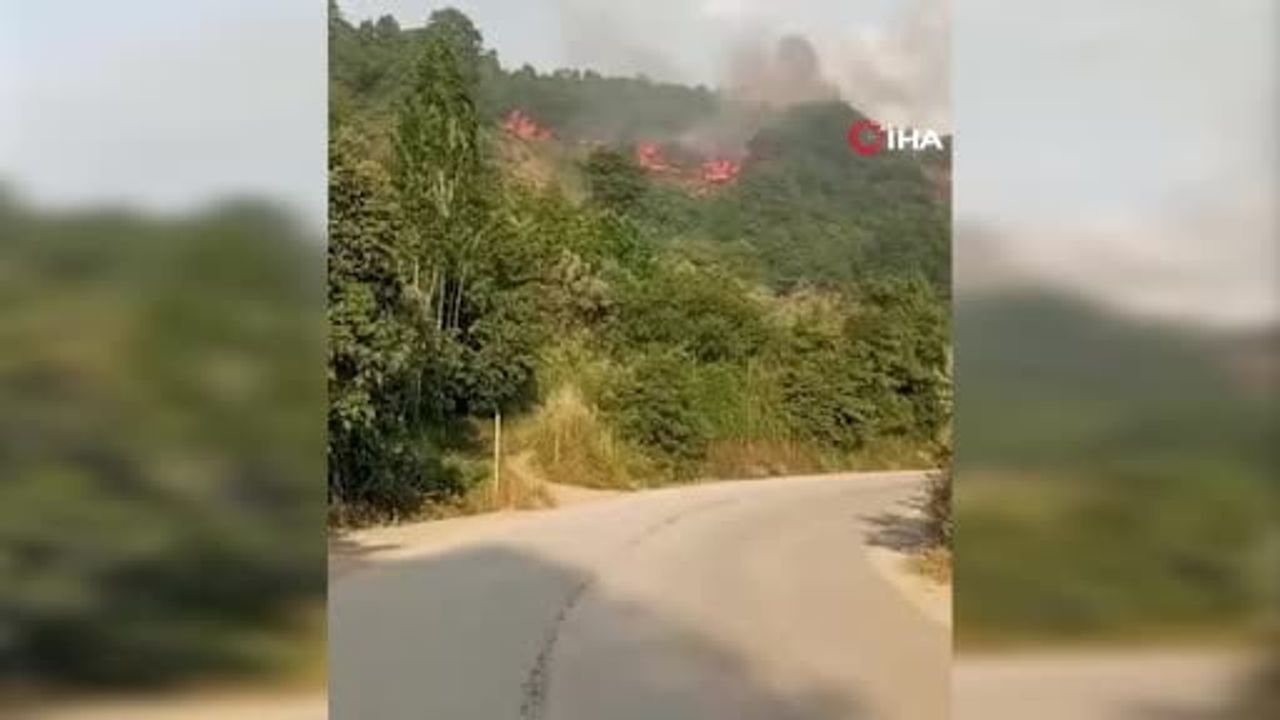 Bursa'nın Gemlik ilçesinde makilik yangın kontrol altına alındı