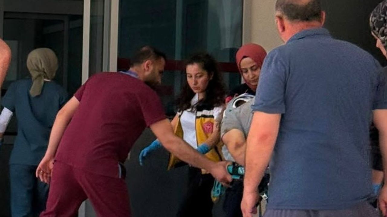 Bursa Orhangazi'de çiftlikte düşme: Osman Koç hayatını kaybetti