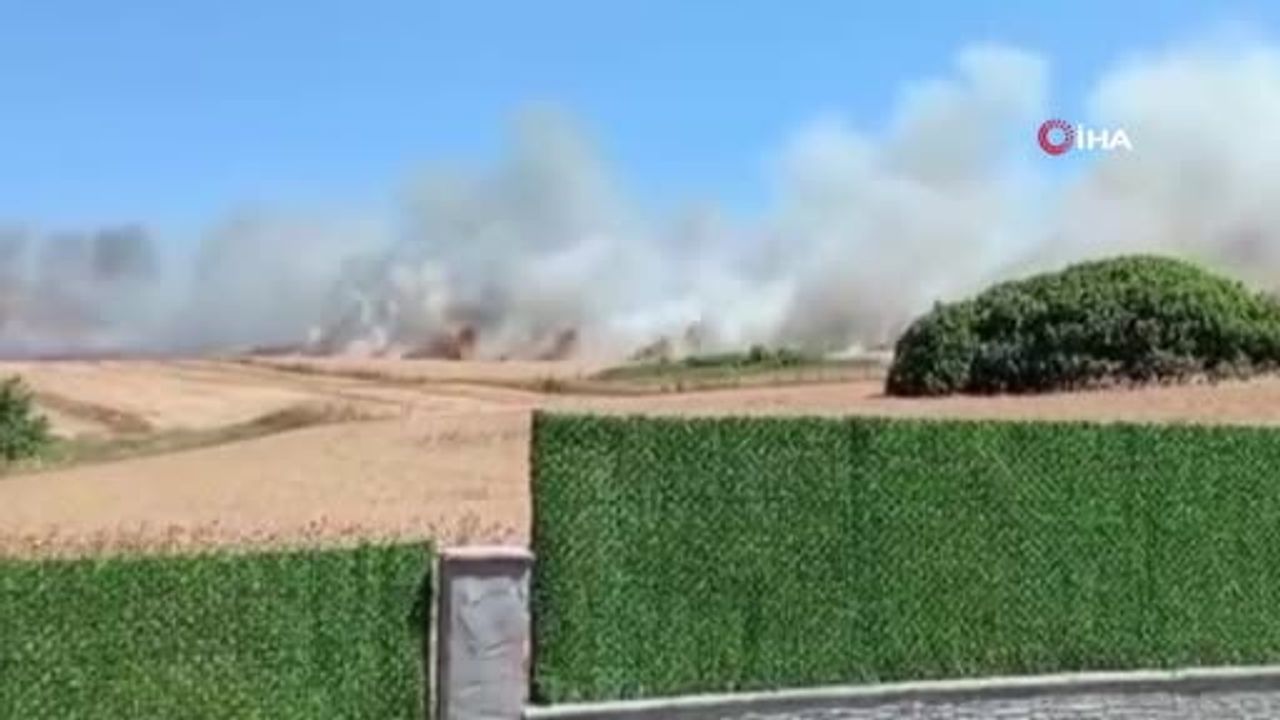 Büyükçekmece Çakmaklı'da geniş alan ot yangını