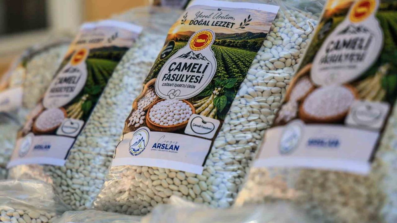 Çameli Belediyesi yüzde 100 hibeli tohumla Çameli fasulyesi üretimini artırıyor