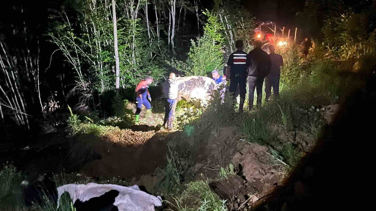 Çamura saplanan 2 büyükbaş hayvan kurtarıldı
