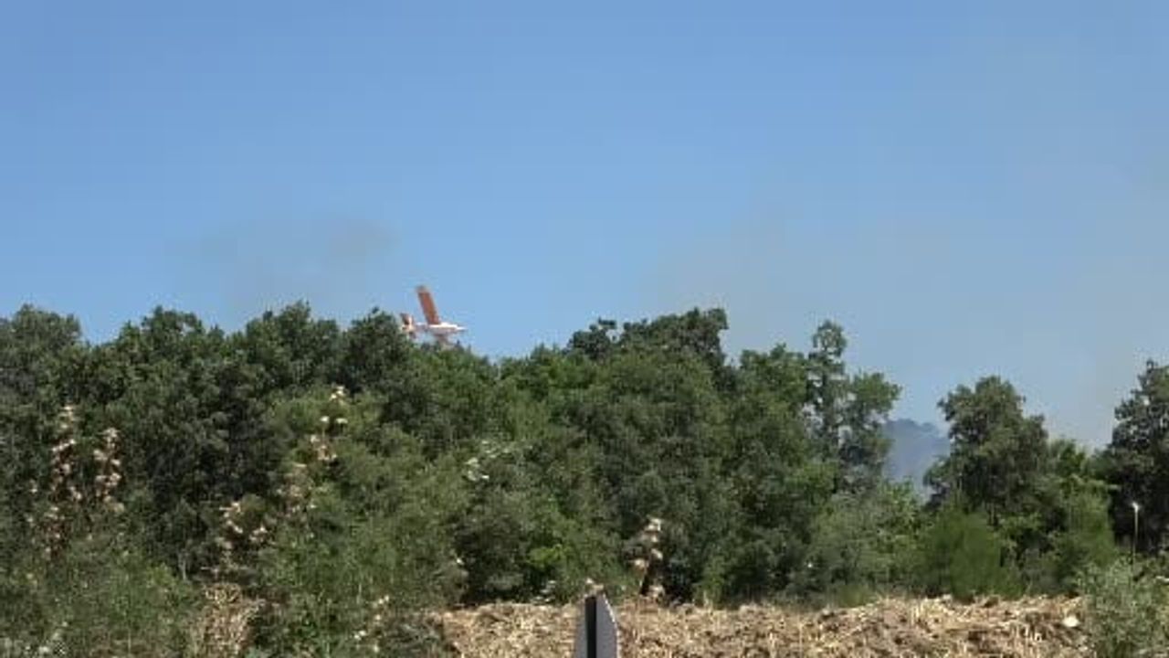 Çanakkale'de tarım arazisinde çıkan yangın kontrol altına alındı