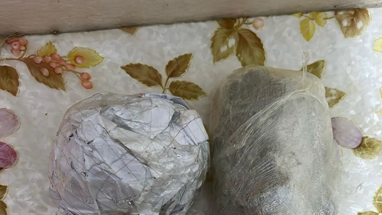 Çapkanlar suç örgütüne yeni operasyon: 24 şahıs gözaltına alındı