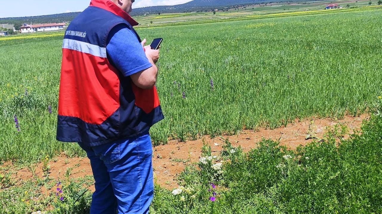 Çavdarhisar’da Referans Parsel Çalışmaları: Saha Kontrolleri ve Eş Zamanlı Veri Girişi