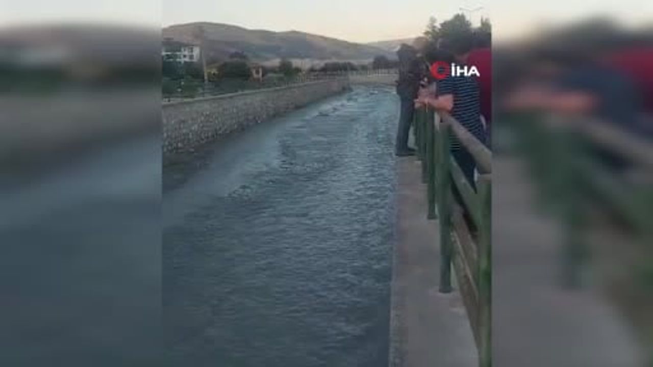Çaya düşen yavru kedi Turhal'da itfaiye ekiplerince kurtarıldı