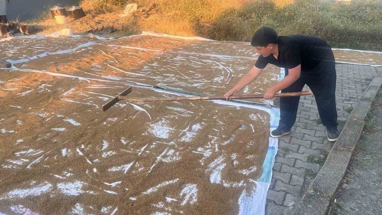 Çiçekdağı'nda geleneksel bulgur yapımı başladı