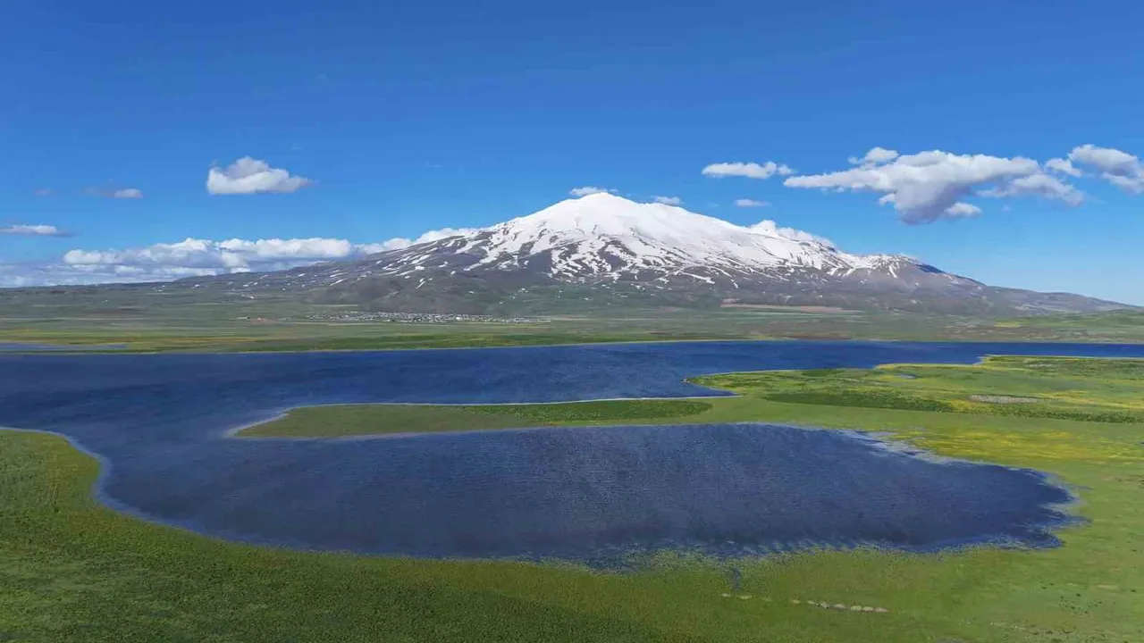 Cil Gölü ve Süphan Dağı: Adilcevaz'da Kuş Cenneti Havadan Görüntülendi