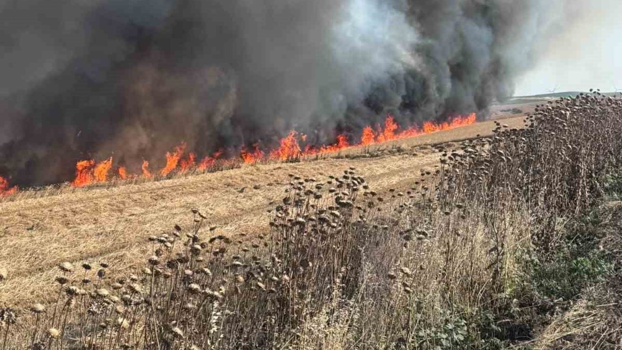 Çorlu'da buğday tarlasında yangın kontrol altına alındı