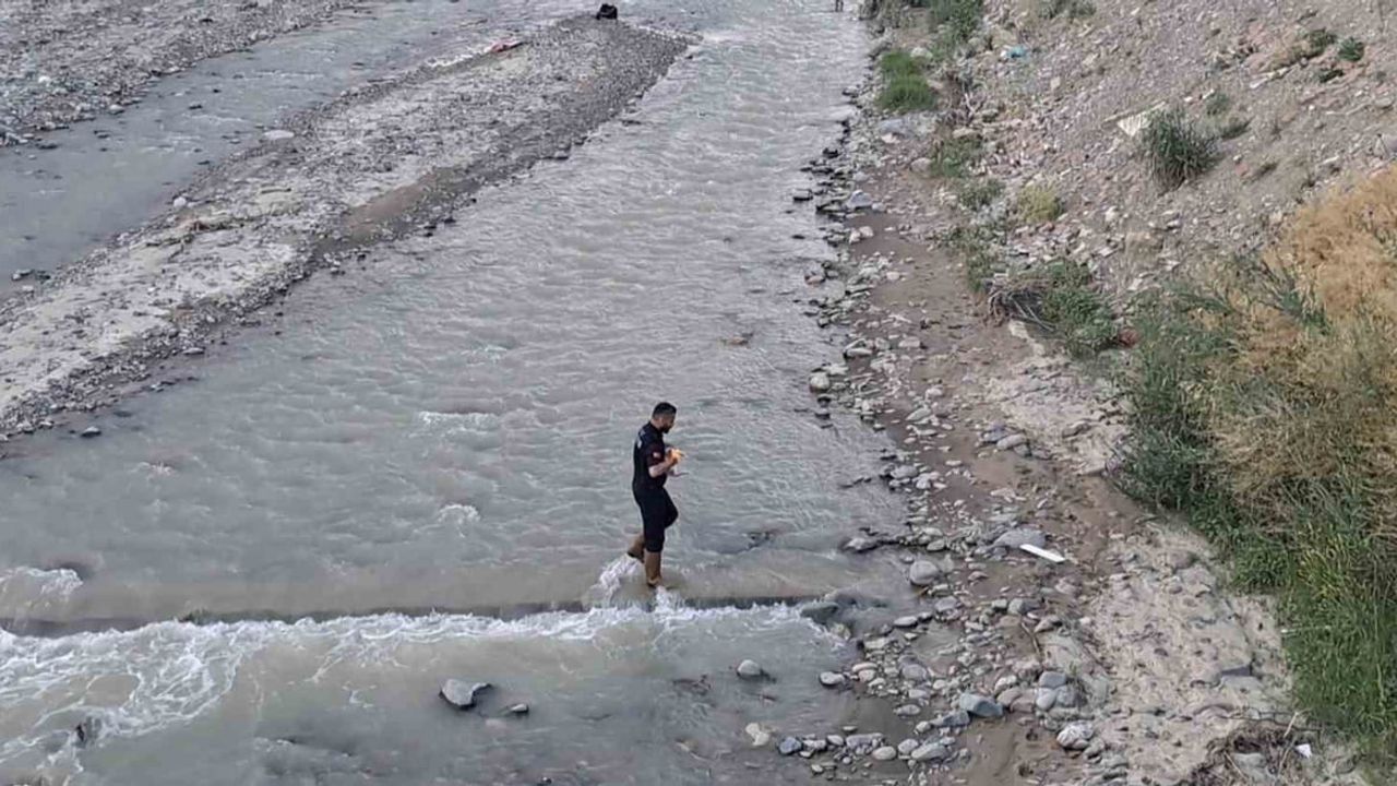 Çorum’da çaya düşen kediyi itfaiye kurtardı