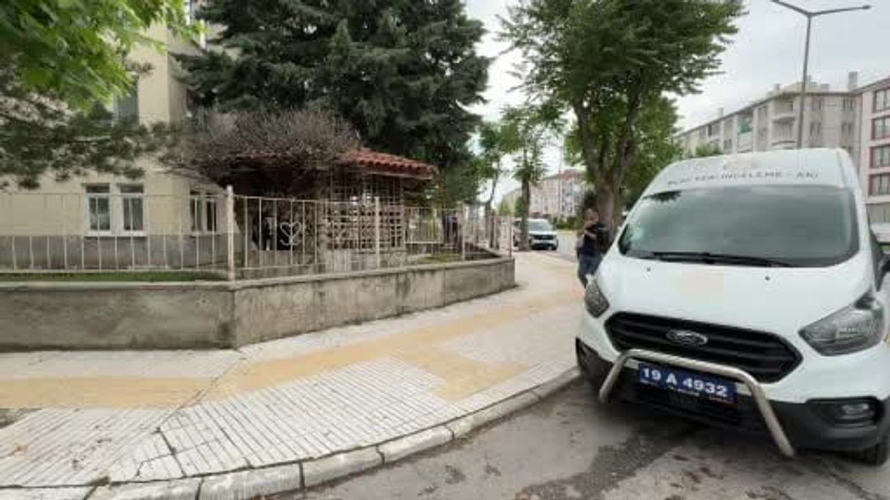 Çorum'da kamelyada monta sarılı tüfek bulundu