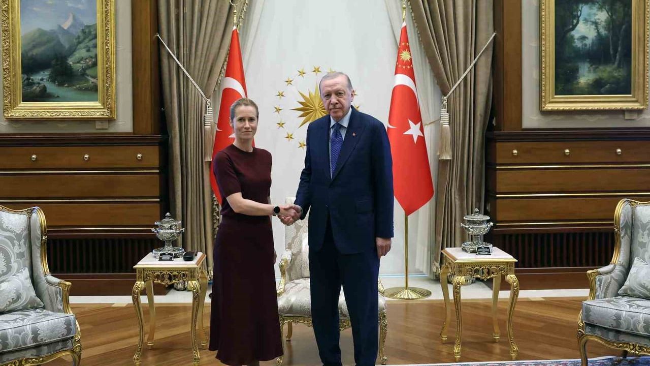 Cumhurbaşkanı Erdoğan, AB temsilcilerini kabul etti