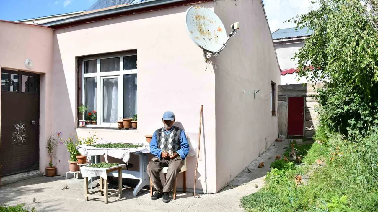 Damal'da elinden kırdığı çekirdekleri kuşlarla paylaşıyor
