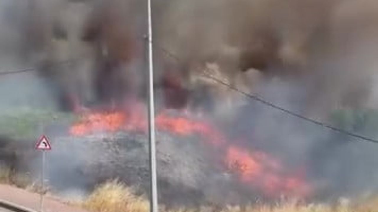 Darıca’da boş arazide yangın çıktı