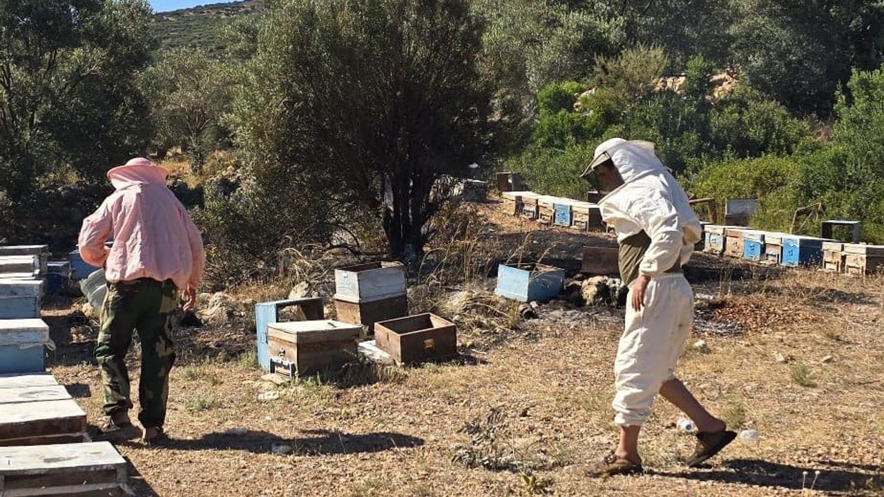 Datça'da arıcıların konaklama alanında çıkan yangın büyümeden söndürüldü