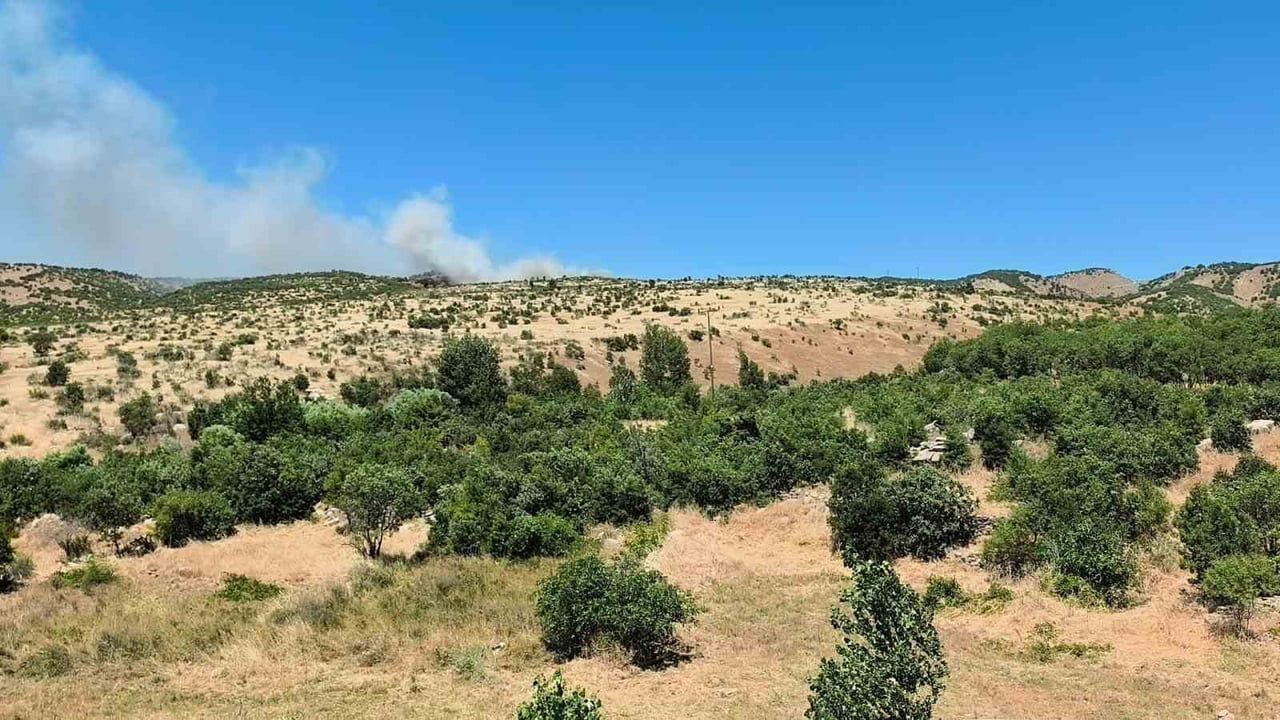 Dicle'de ağaçlık alanda yangın