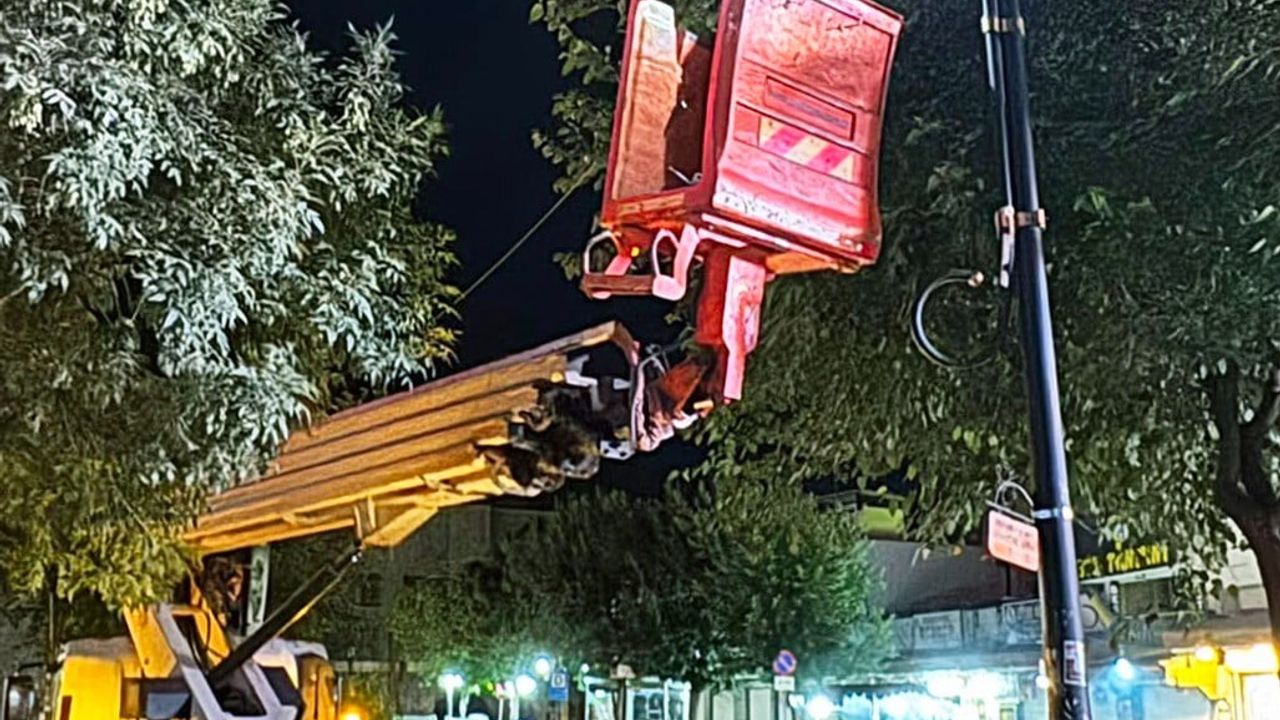 Dicle Elektrik’ten Suriçi’ne estetik aydınlatma dönüşümü